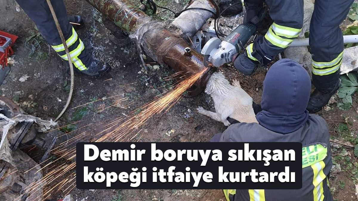 Kocaeli Büyükşehir Belediyesi İtfaiye ekipleri Gölcük Değirmendere’de demir boruya sıkışan