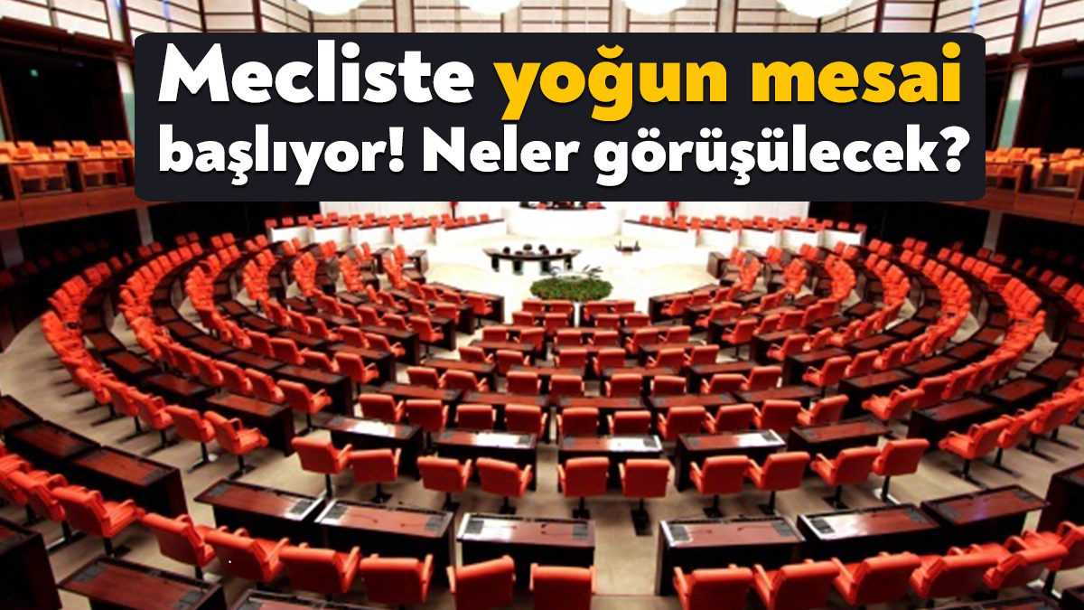 Meclis, 3 aylık aranın ardından yasama çalışmalarına yeniden başlayacak. TBMM