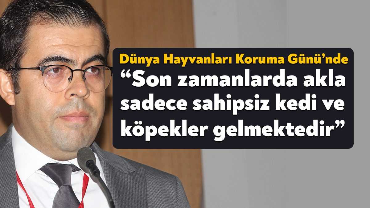4 Ekim Dünya Hayvanları Koruma Günü nedeniyle Kocaeli Veteriner Hekimleri