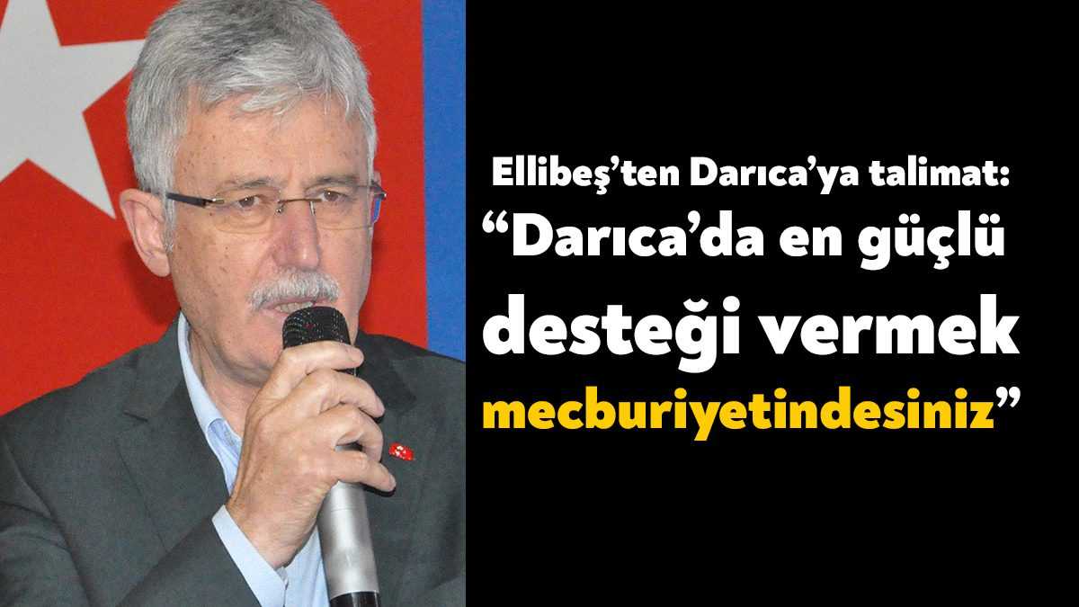 AK Parti Kocaeli Mehmet Ellibeş, AK Parti Darıca İlçe Danışma