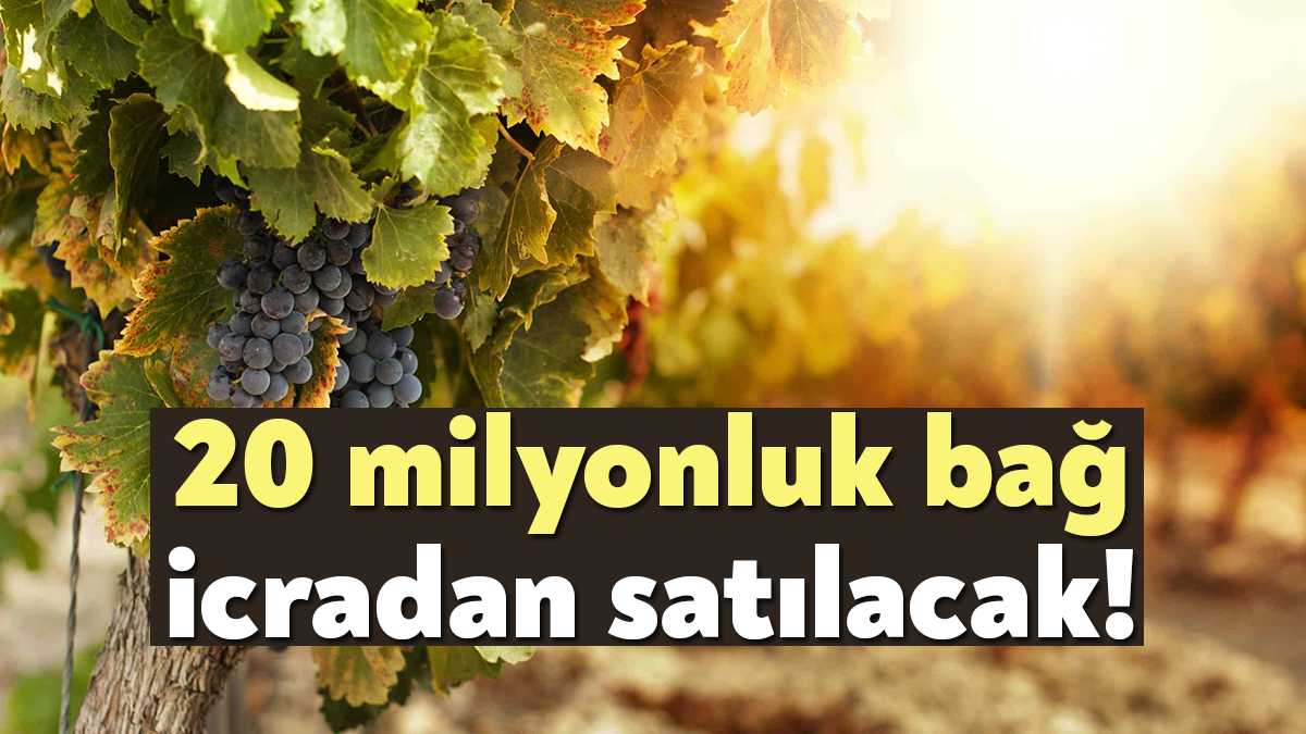 T.C. Karamürsel Sulh Hukuk Mahkemesi Satış Memurluğu, bir borçtan dolayı