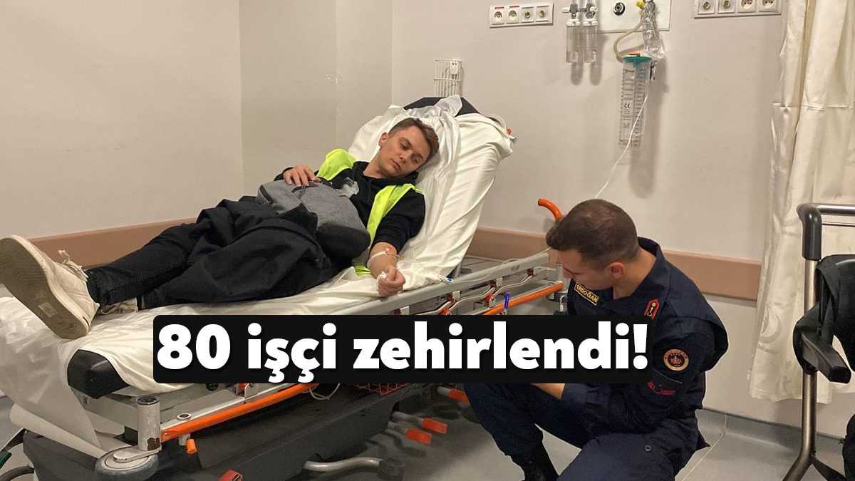  Kocaeli'nin Gebze ilçesinde bulunan lojistik firmasında gece vardiyasında çalışan işçiler,