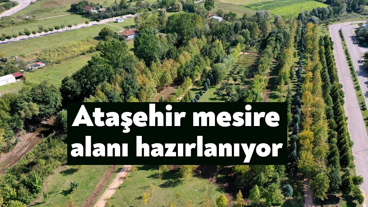 Kocaeli Büyükşehir ekipleri, Kartepe Arslanbey Ataşehir mesire alanında yoğun mesai