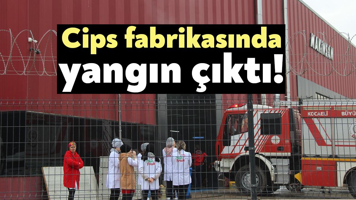 Kocaeli'nin Başiskele ilçesindeki bir cips fabrikasında fritözden çıkan yangın, itfaiye