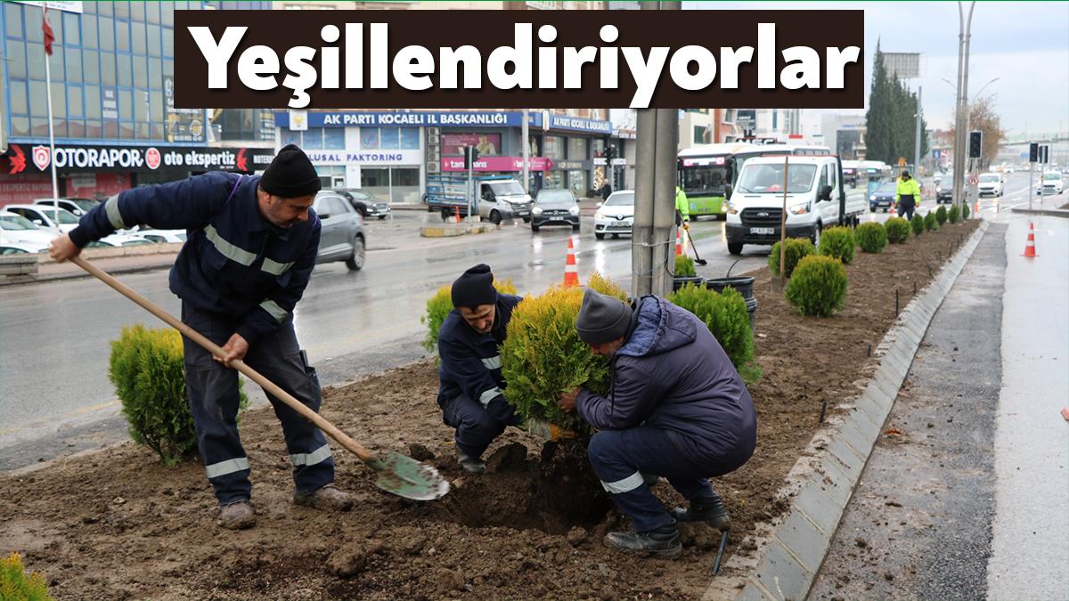 Yenilenen D-100 Kuzey yan yolda Büyükşehir ekipleri, yeşillendirme çalışması yaptı