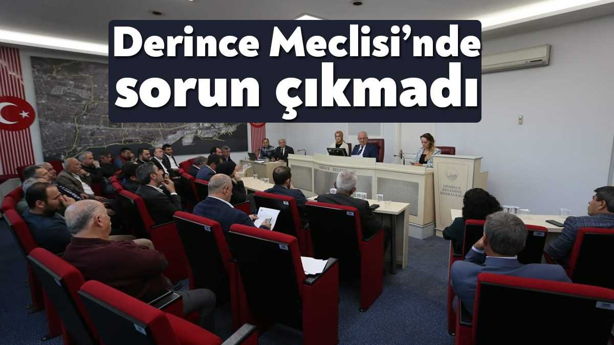Derince Belediye Meclisi’nin Kasım Ayı Olağan Toplantısı’nda görüşülen üç gündem