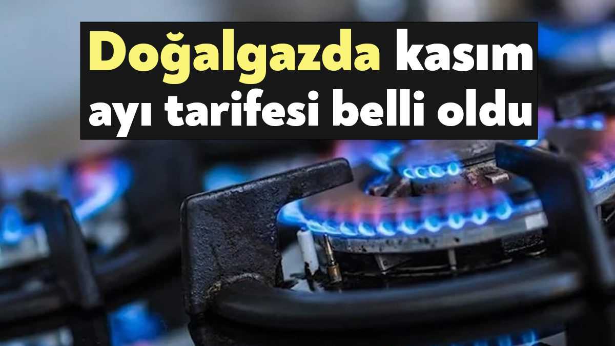 Doğalgazda mesken, sanayi ve elektrik üretim amaçlı abonelerin kasım ayı