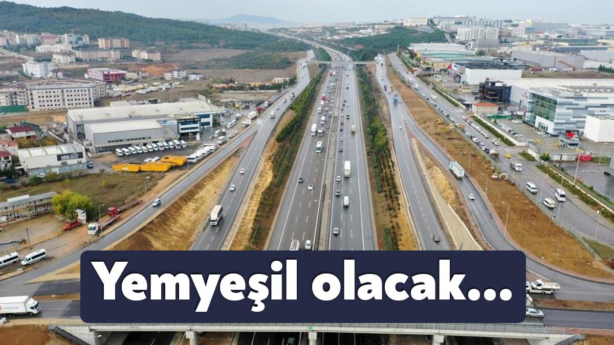 Kocaeli TEM Otoyolu Gebze güzergahında kenar kısımlar ağaçlandırılıyor. Şu ana