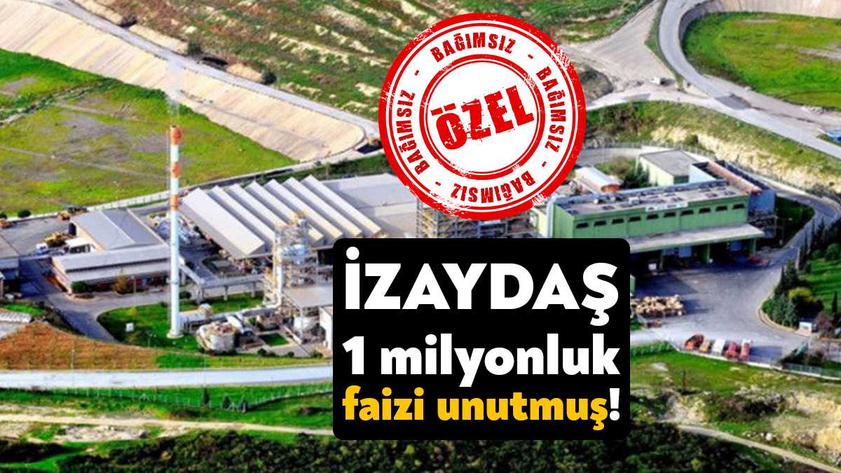 İzmit Atık ve Artıkları Arıtma Yakma Değerlendirme A.Ş. (İZAYDAŞ) 2021