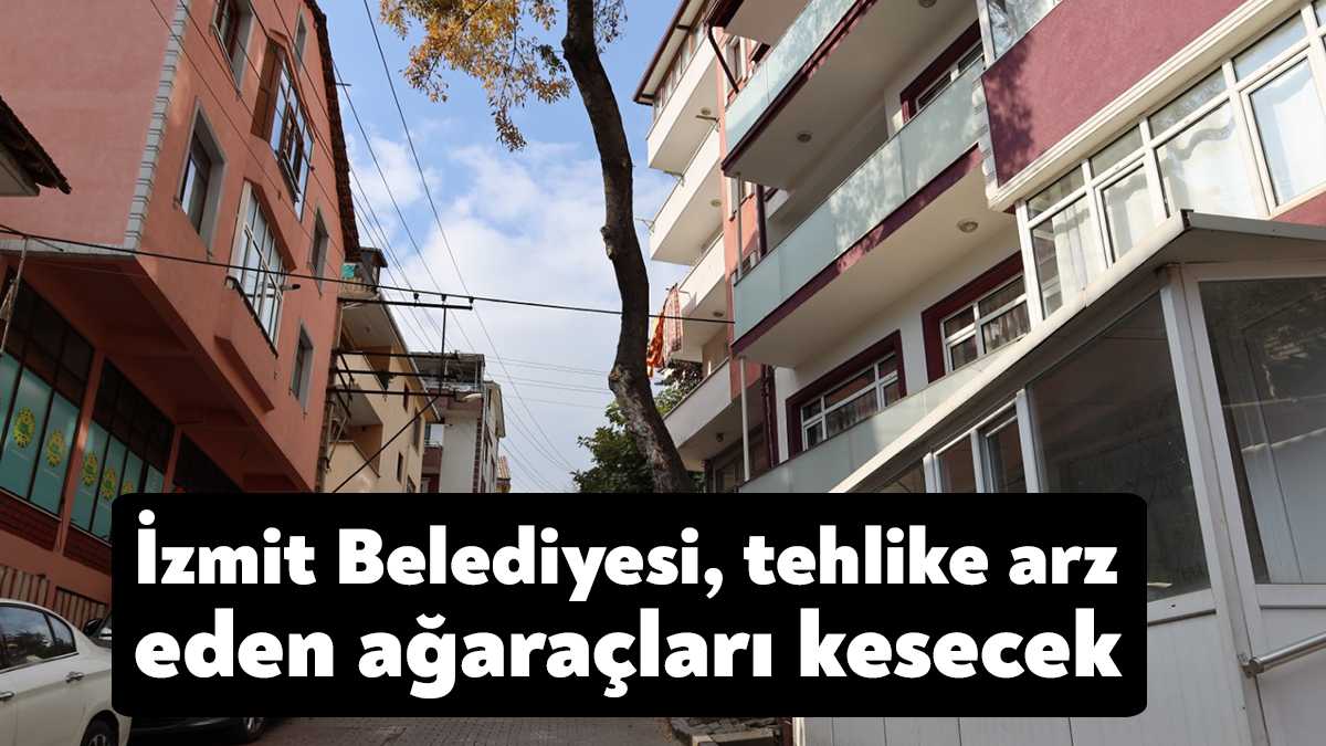 İzmit Belediyesi Park ve Bahçeler Müdürlüğü ekipleri, Kocatepe ve Şirintepe