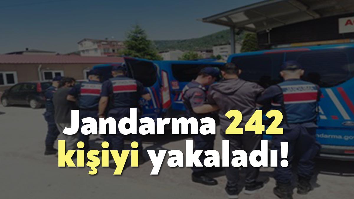 Kocaeli İl Jandarma Komutanlığı ekipleri, 20 gün süren denetim ve