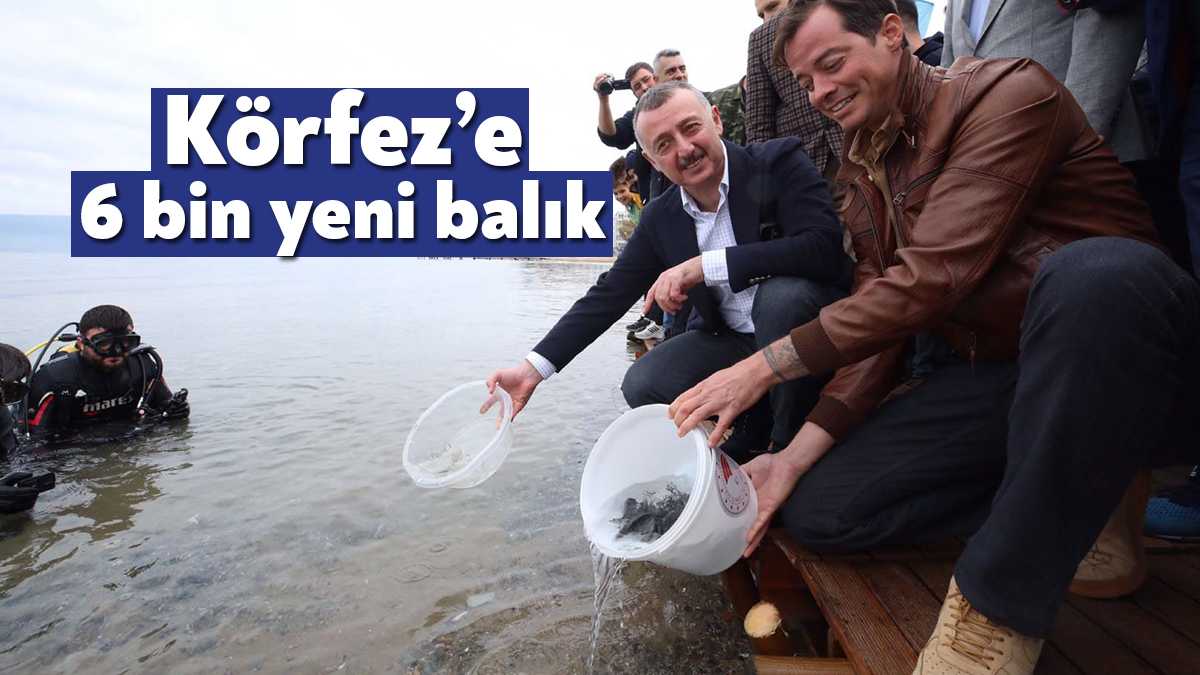 İzmit Körfezi Balıklandırma Projesi kapsamında Karamürsel Ereğli Sahili’nden 6 bin