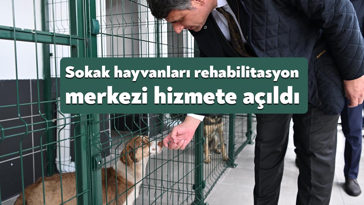 Kartepe Belediye Başkanı Av.M.Mustafa Kocaman’ın talimatıyla “Sokak Hayvanları Geçici Bakım