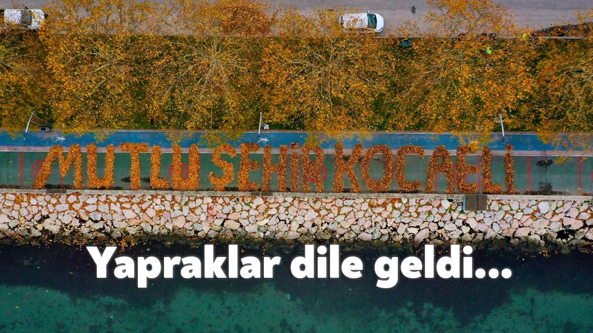 Büyükşehir ekiplerinden renkli çalışma. Sarı, kahverengi ve yeşilin farklı tonlarına