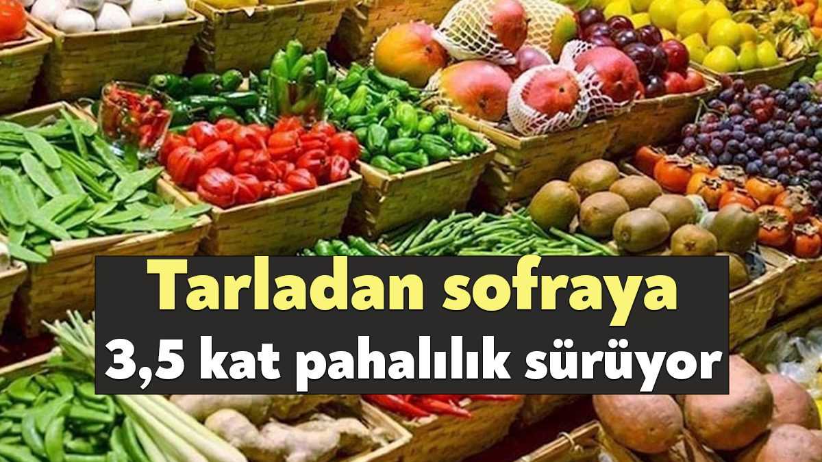 Türkiye Ziraat Odaları Birliği (TZOB) verilerine göre, ekim ayında üreticide