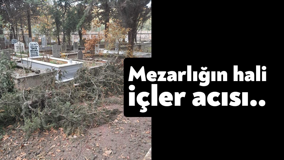 Körfez Belediyesi’ne bağlı Yukarı Hereke Mezarlığı’nın son haline vatandaşlar tepkili.