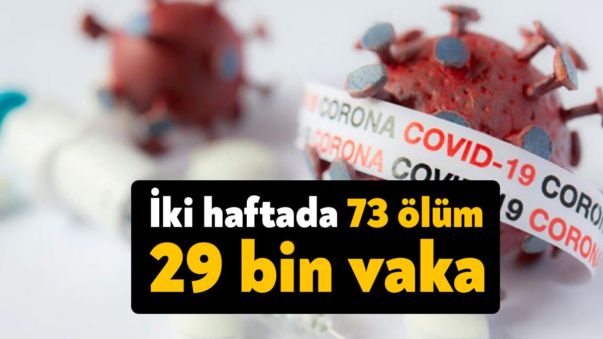 Türkiye'de 31 Ekim-13 Kasım haftasında 28 bin 808 kişinin koronavirüs