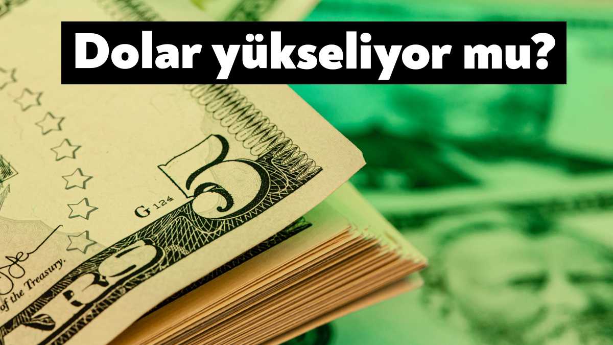 Vatandaşlar tarafından dolar kuru merak ediliyor. 5 Kasım 2022 güncel