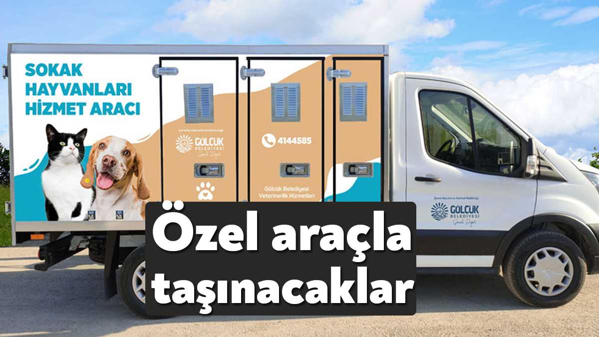 Gölcük Belediyesi, yakın zamanda faaliyete başlayacak olan Sokak Hayvanları Rehabilitasyon Merkezi’ne