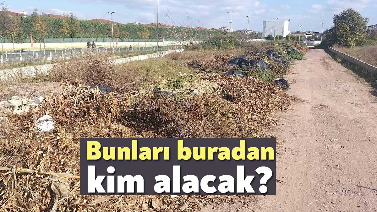 Kartepe Şehit Tuğrul Çiçek Caddesi üzerinde atılmış dallar yangın tehlikesi