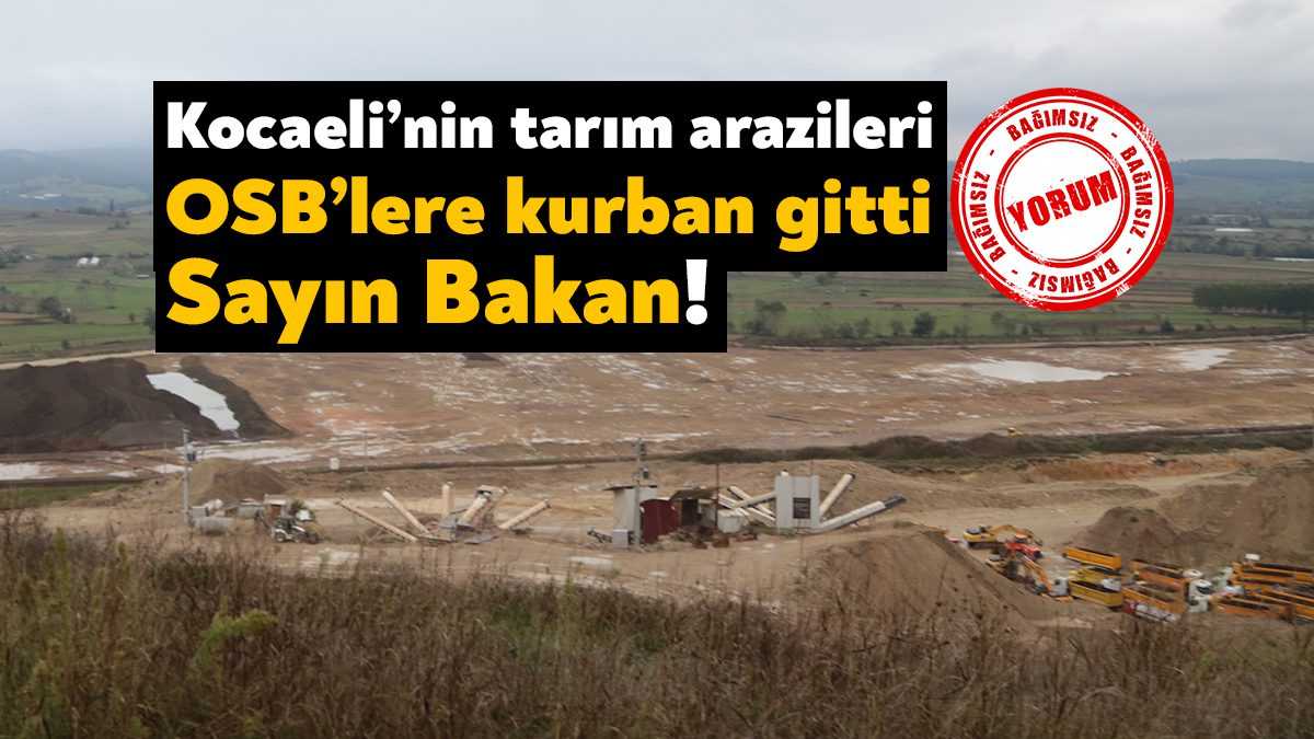 2. Yerel Yönetimler ve Tarım Çalıştayı’na katılan Tarım ve Orman