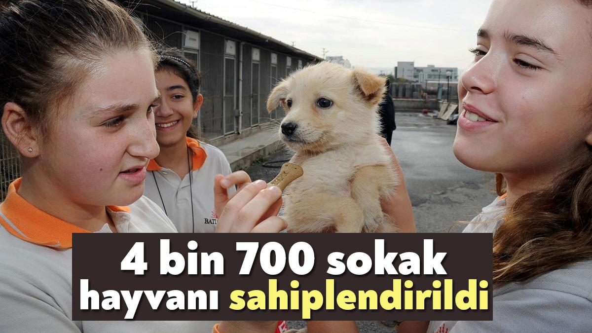 Kocaeli Büyükşehir tarafından 2022 yılında 11 bin 900 sokak hayvanına