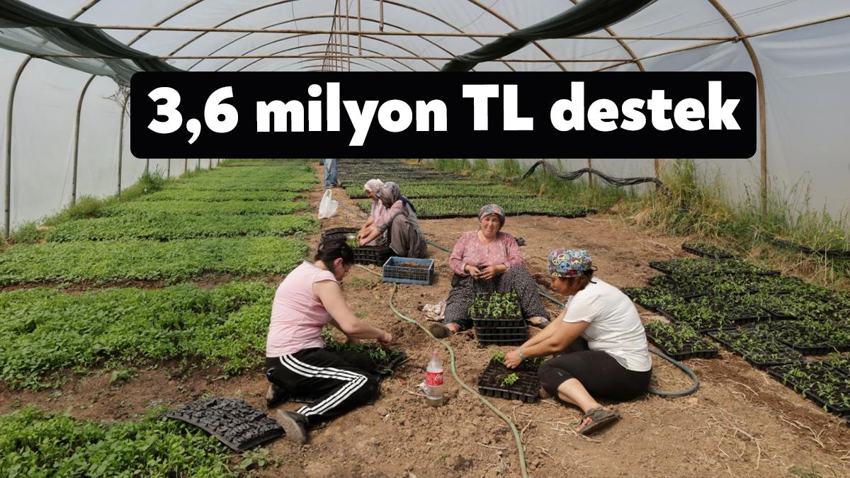 Büyükşehir’in kadın ve genç çiftçilere öncelik verilen % 75 hibeli