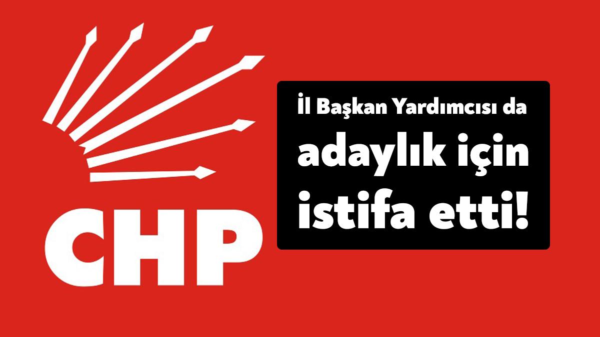 CHP Kocaeli İl Başkan Yardımcısı İsmet İşeri, milletvekili aday adaylığı