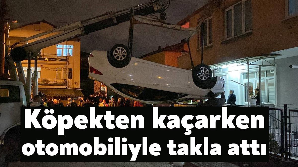 Kocaeli’de önüne çıkan köpeğe çarpmamak için manevra yapan sürücü, direksiyon