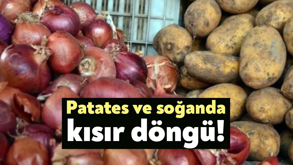 Son bir yılda soğanda yüzde 733, patateste ise yüzde 288’e