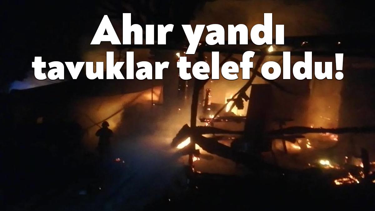 Kocaeli'nin Gölcük ilçesinde kulübedeki sobadan çıkan yangın ahıra sıçradı. 30