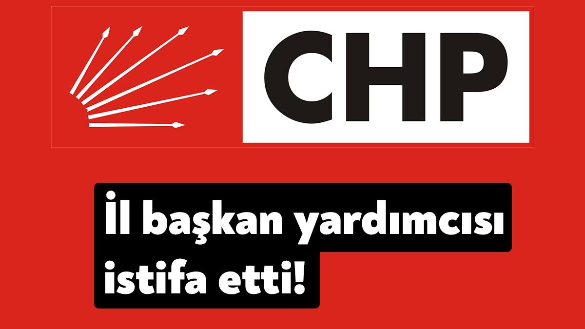 CHP Kocaeli İl Başkan Yardımcısı Ali Yapa, milletvekilliği aday adaylığı