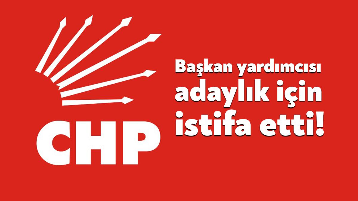 CHP Körfez İlçe Başkan Yardımcısı Hasan Ali Hamarat, milletvekili aday