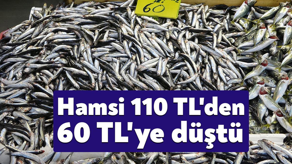 Havaların soğumasıyla birlikte Karadeniz’de hamsi bolluğu yaşanıyor. Hamside ki bereket