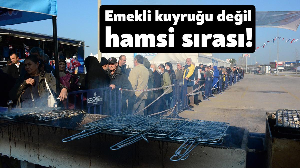 Kocaeli'de düzenlenen hamsi festivalinde 2 ton hamsi ızgarada pişirilerek vatandaşlara