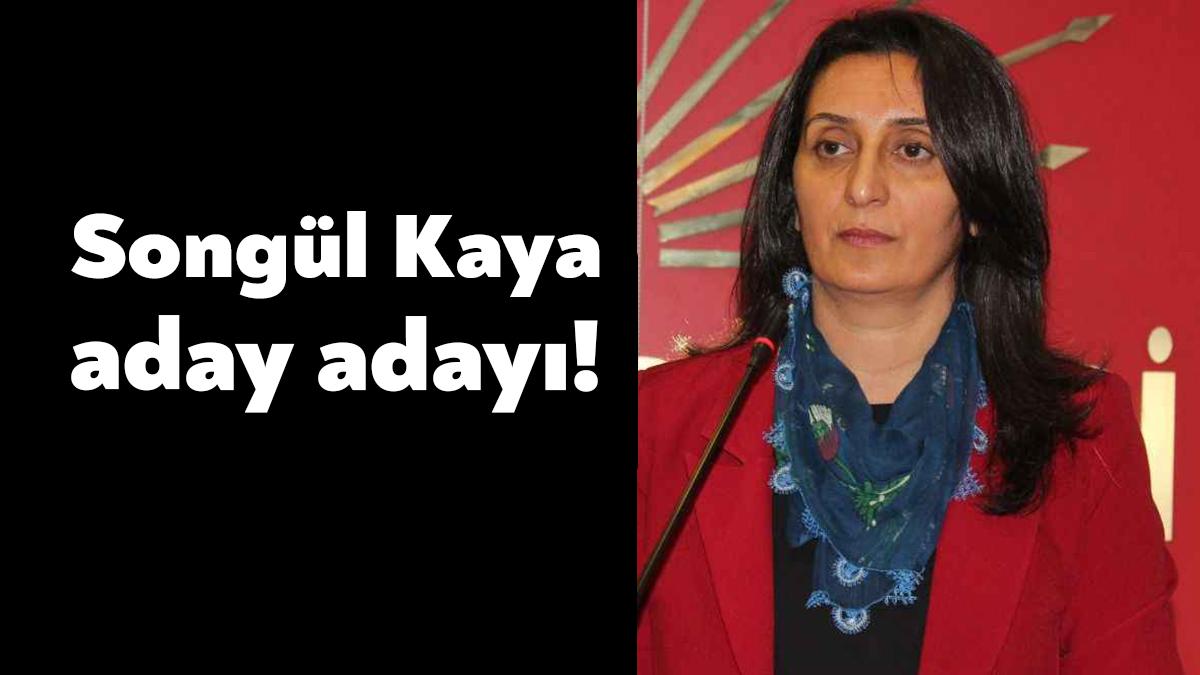 CHP Kocaeli İl Kadın Kolları Başkanı Songül Kaya, milletvekili aday