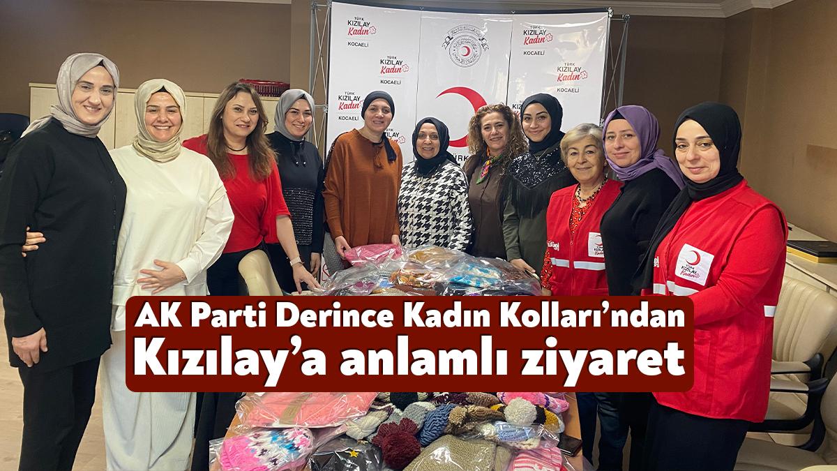 AK Parti Derince Kadın Kolları Başkanı Züleyha Uslu ve yönetimi