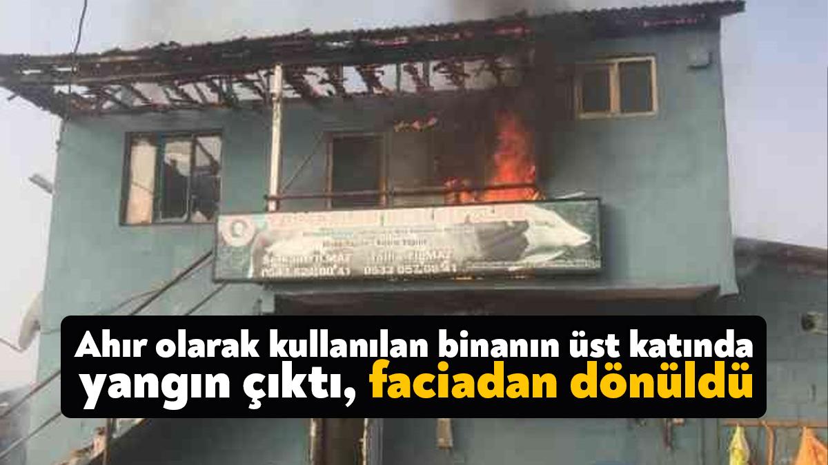 Kocaeli’nin Kartepe ilçesinde alt katının ahır olarak kullanıldığı iki katlı