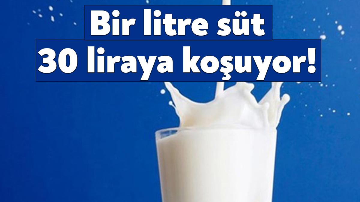 Hayvancılıkta yaşanan kriz süt ve süt ürünleri üretimini düşürmeye, fiyatları