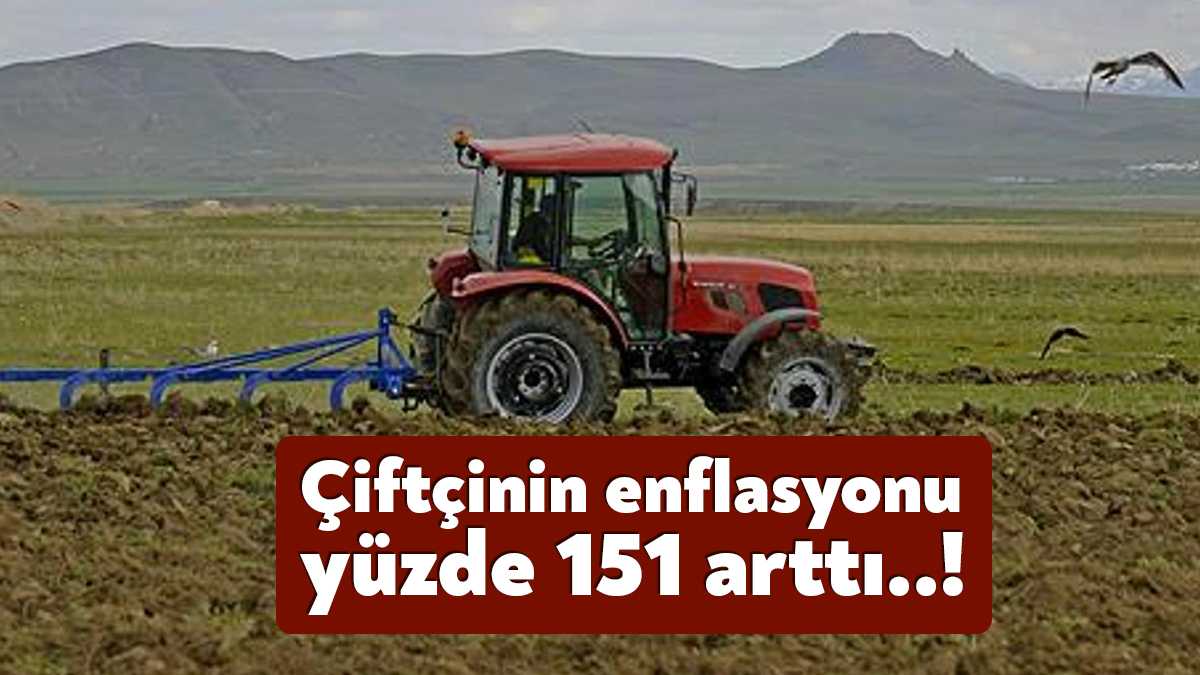 Tarım Ürünleri Üretici Fiyat Endeksi (Tarım ÜFE), Aralık 2022'de bir
