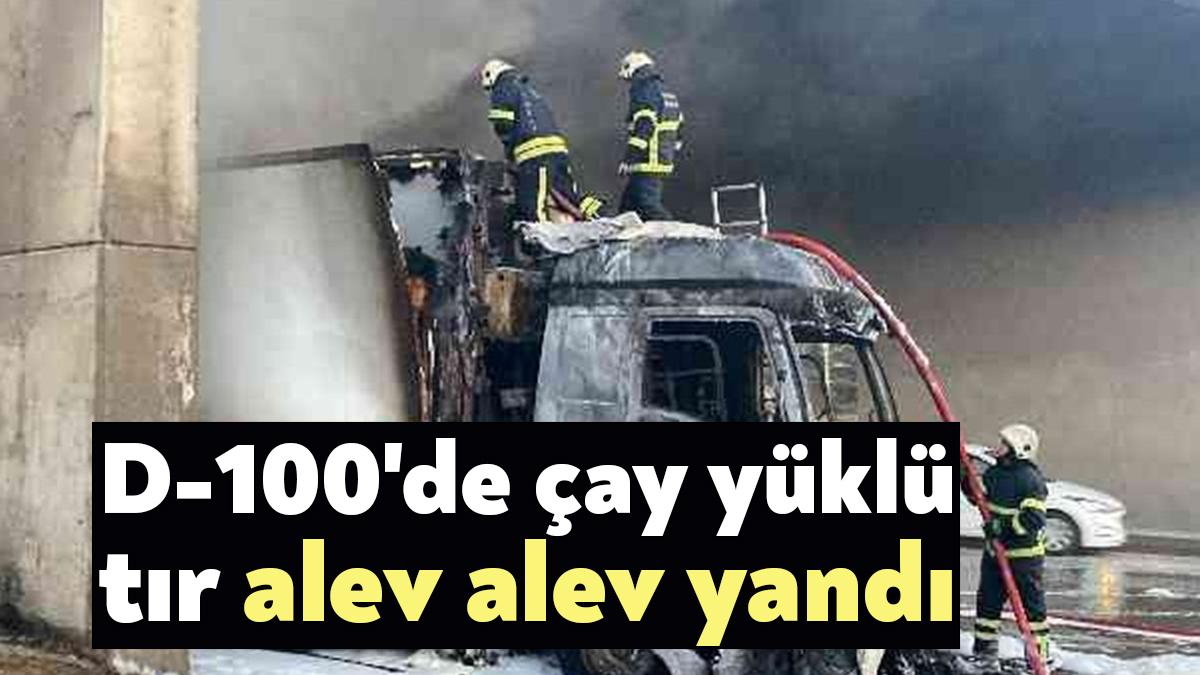 Kocaeli’de D-100 karayolunda seyir halindeki çay yüklü tırın dorsesi alev