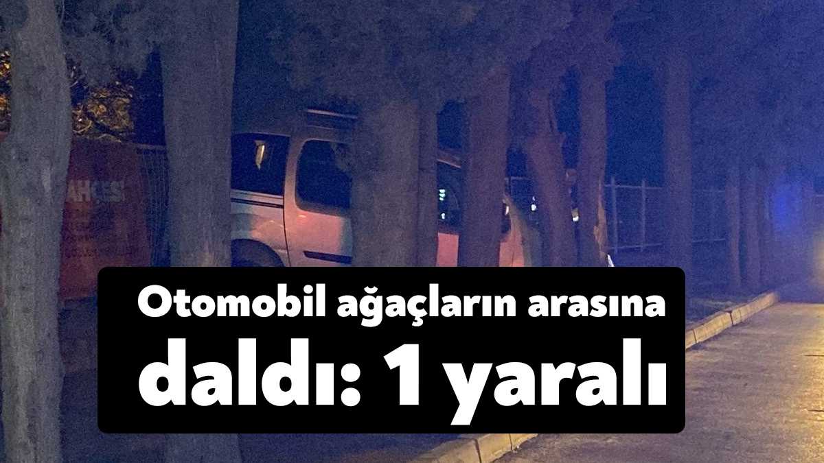 Kocaeli’de kontrolden çıkan hafif ticari otomobilin yol kenarındaki ağaçlara çarpması