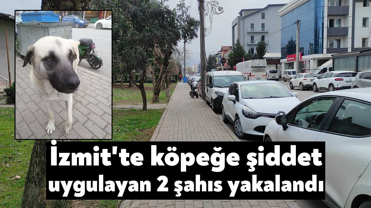 Kocaeli'nin İzmit ilçesinde sokak köpeğine şiddet uygulayan 2 şahıs, polis
