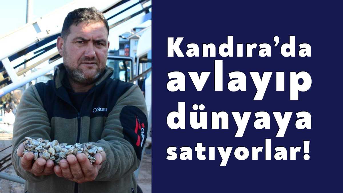 KOCAELİ (İHA) - Kocaeli'de Kefken Limanı'nda günde ortalama 200 ton