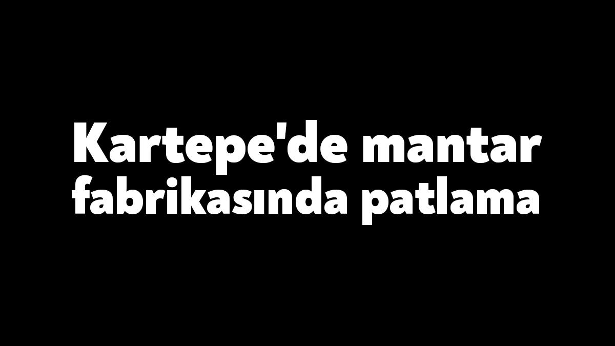 Kocaeli'nin Kartepe ilçesinde yer alan bir mantar fabrikasında akşam saatlerinde