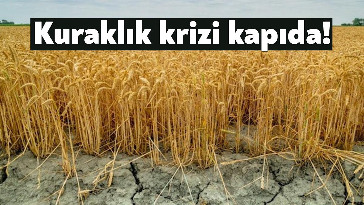 Geçen yıla göre yüzde 50’nin üzerinde azalan yağışlarla 2023 kuraklık