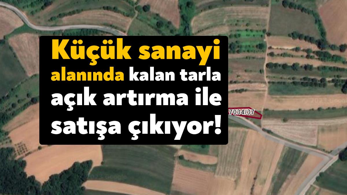 İzmit Durhasan Mahallesi, küçük sanayi alanında bulunan taşınmaz tarla, açık