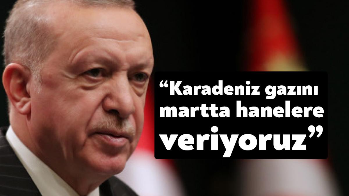 Cumhurbaşkanı Erdoğan, Karadeniz'de keşfedilen doğalgaz rezervinin kullanım çalışmalarının sürdüğünü söyleyerek