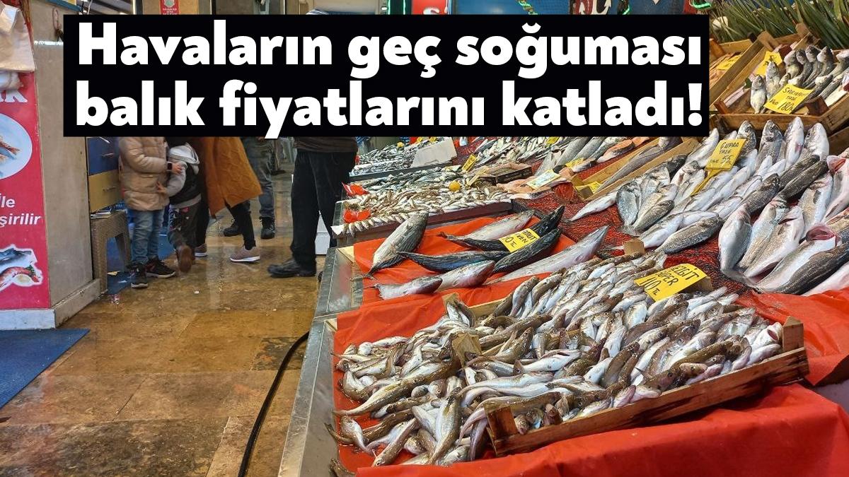 Kocaeli'de havaların geç soğuması balık fiyatlarına da yansıdı. Balık fiyatlarında