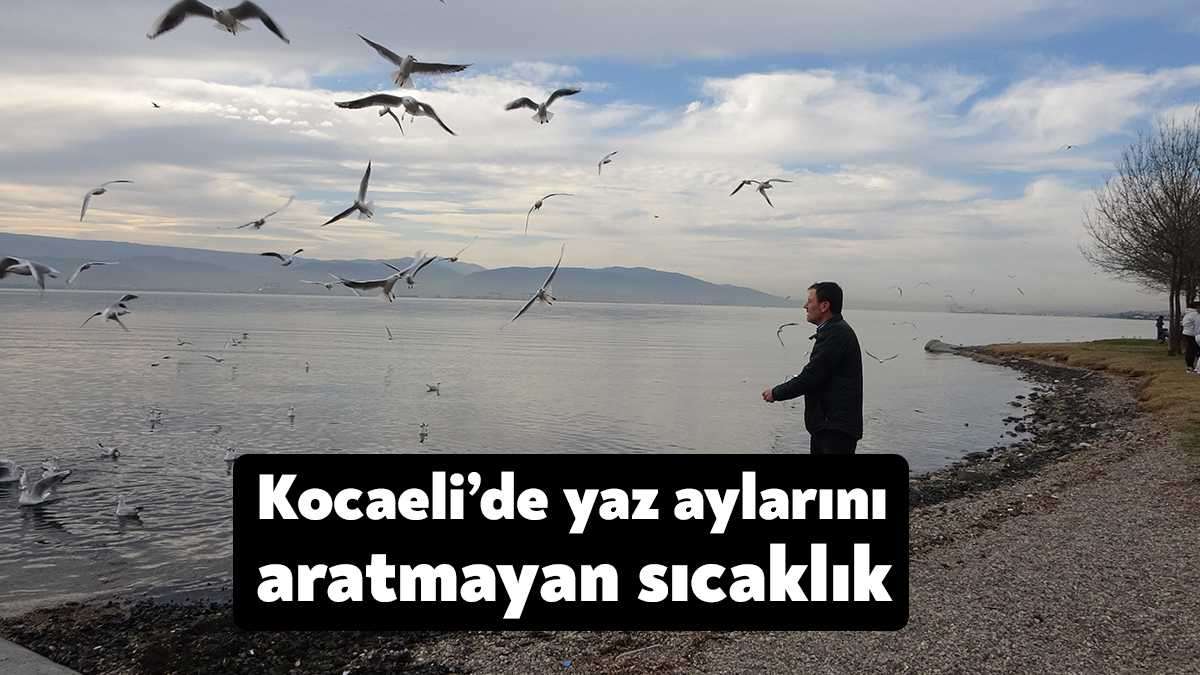 Kocaeli'de tava sıcaklığının mevsim normallerinin üzerinde seyretmesini fırsat bilen vatandaşlar